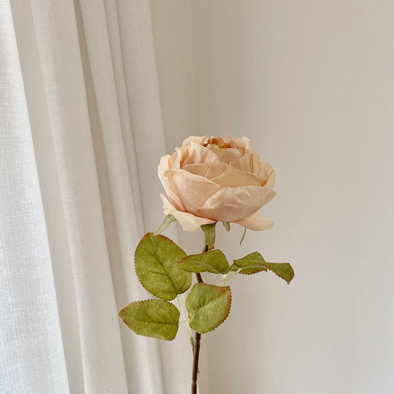 EDGE ROSE Mawar 60CM Artifisial Dekorasi Tanaman Palsu Hiasan diameter 10CM