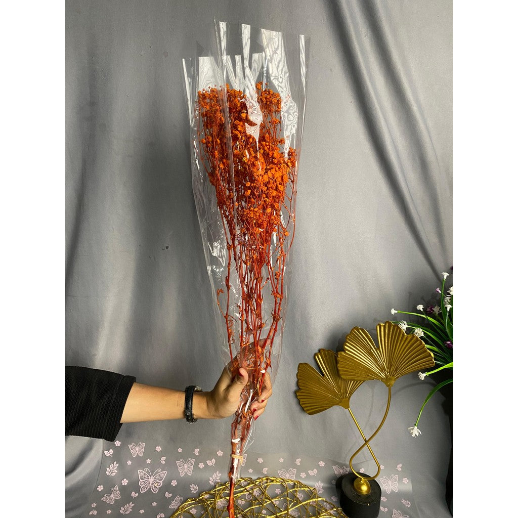 Baby Breath Dried Flower 50gram Bunga Preserved Import Dekorasi Pernikahan Premium Dekorasi hias