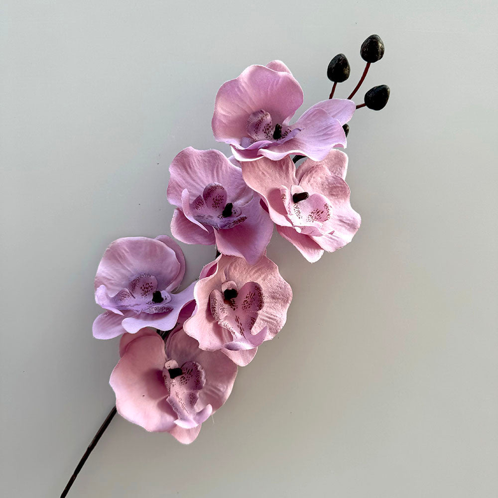 Anggrek 6 SIX DANCING ORCHID 65CM Tangkai Panjang