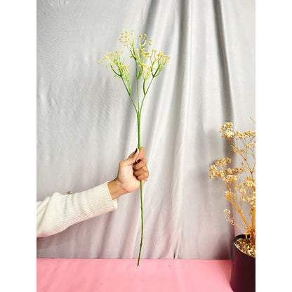Bunga baby breath babys breath satu tangkai