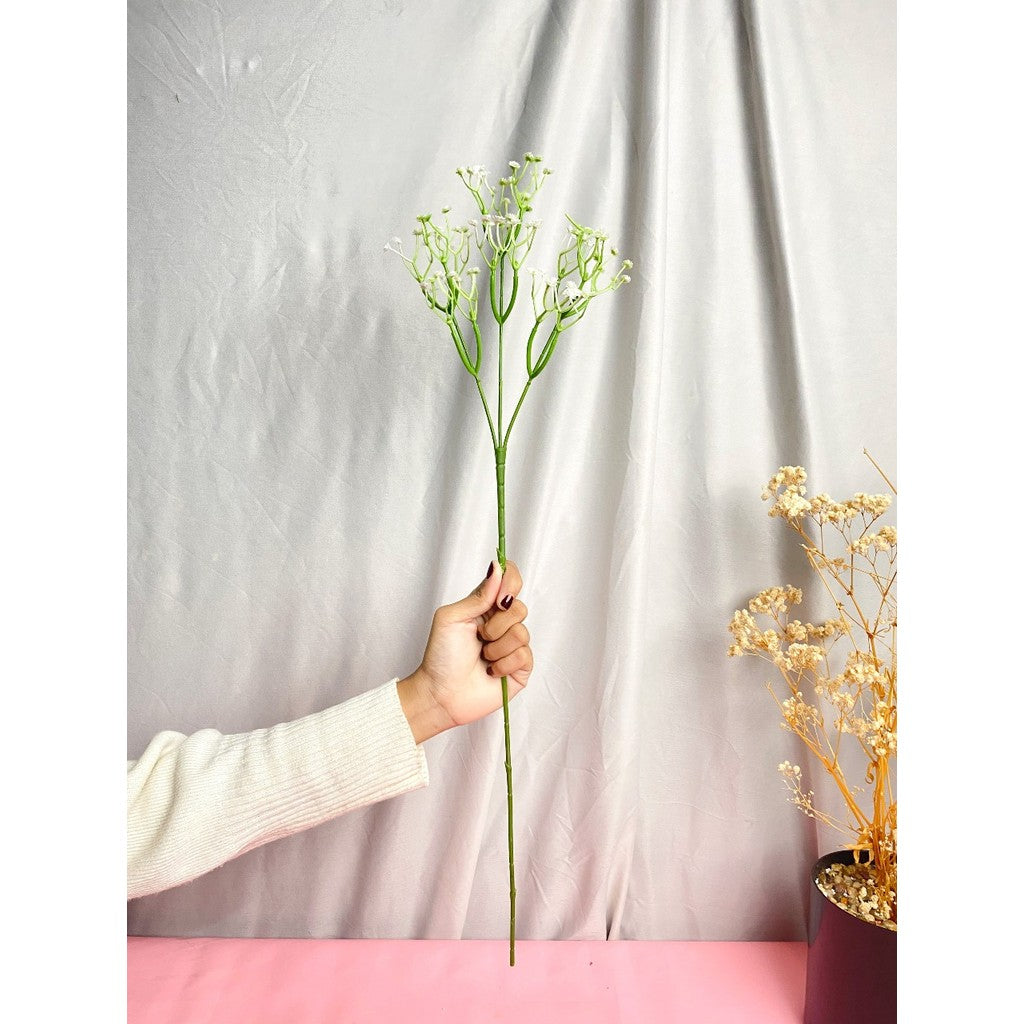 Bunga baby breath babys breath satu tangkai