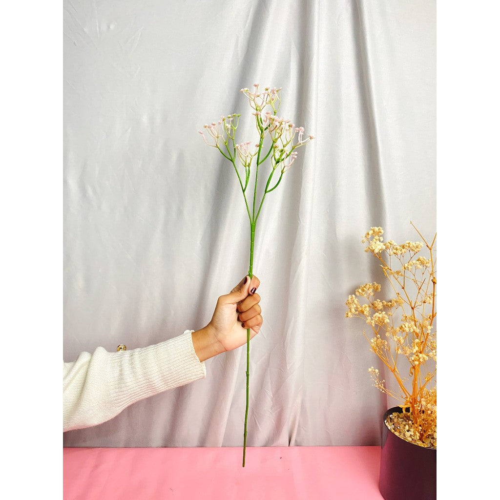 Bunga baby breath babys breath satu tangkai