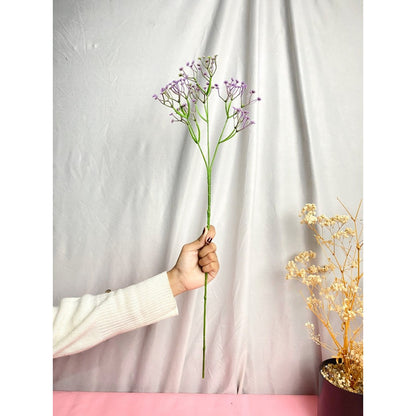Bunga baby breath babys breath satu tangkai
