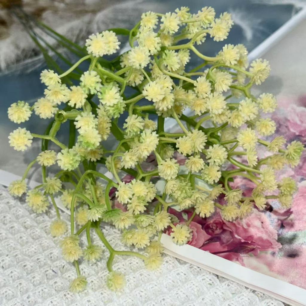 Bunga baby breath babys breath satu tangkai