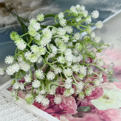 Bunga baby breath babys breath satu tangkai