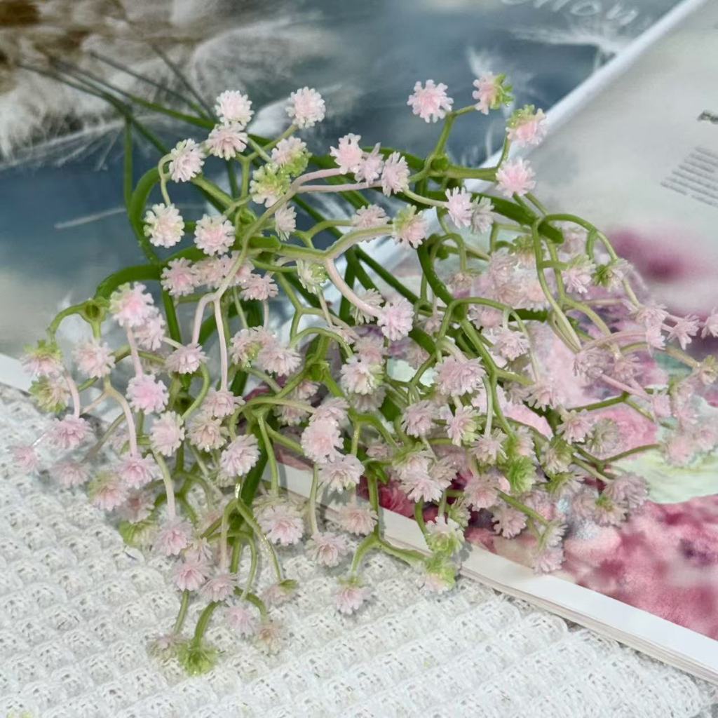 Bunga baby breath babys breath satu tangkai