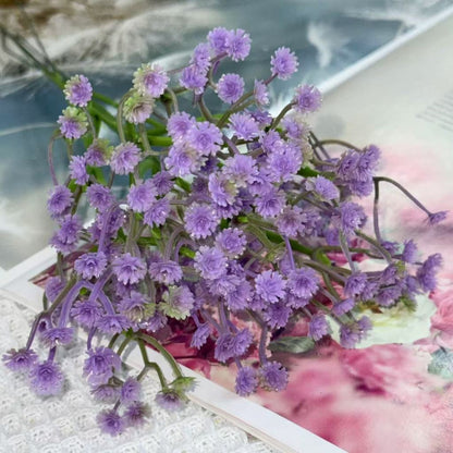 Bunga baby breath babys breath satu tangkai
