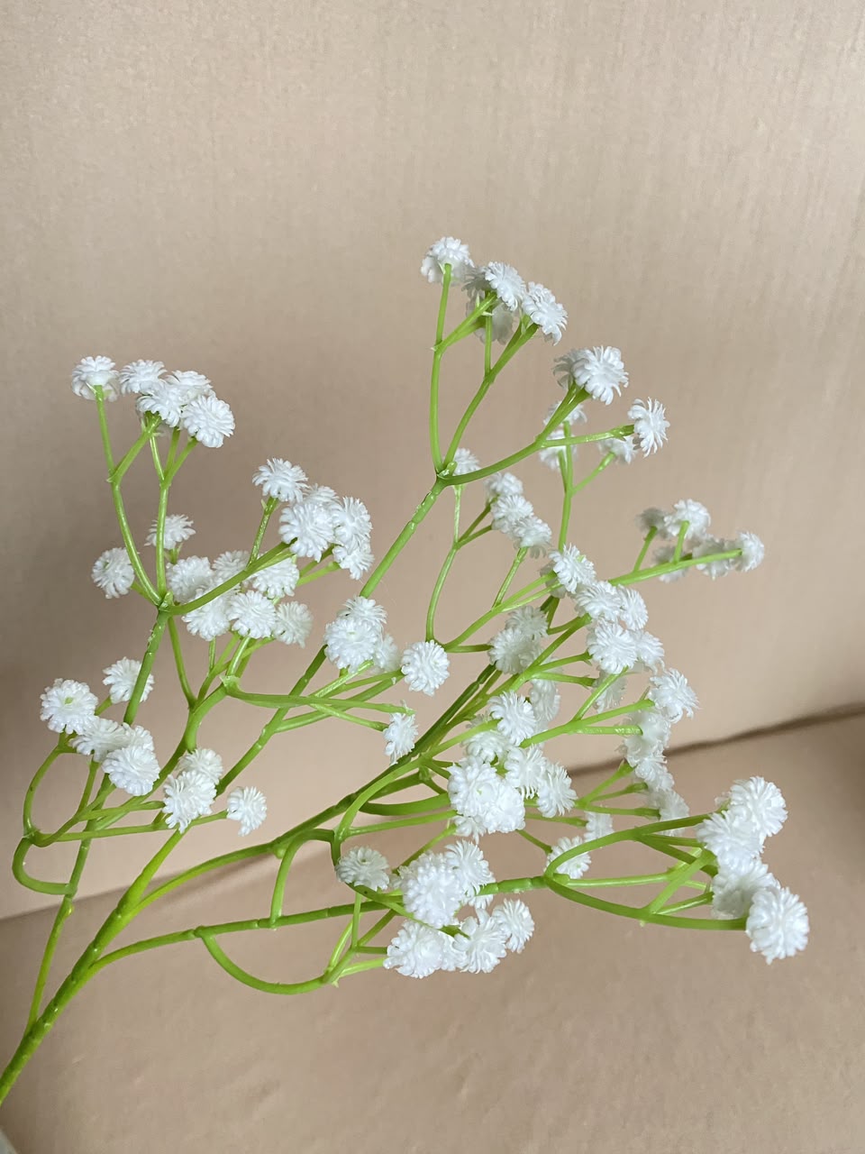 Bunga baby breath babys breath satu tangkai