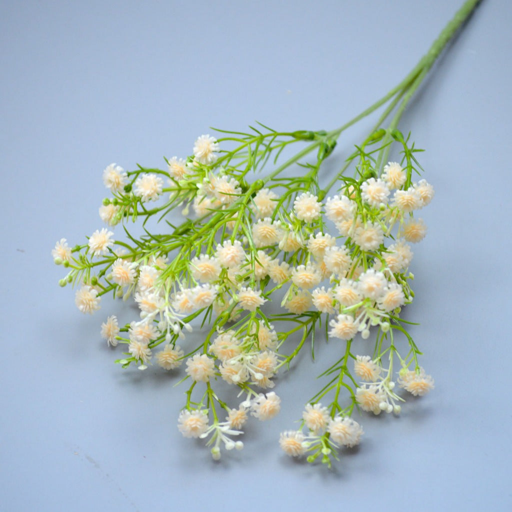 Bunga baby breath babys breath satu tangkai