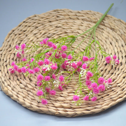 Bunga baby breath babys breath satu tangkai