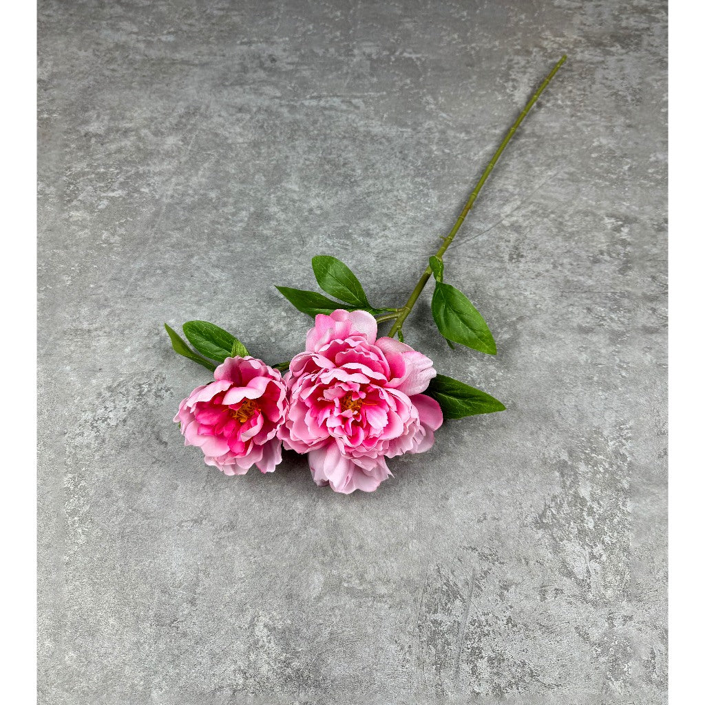 C76 OSDUA (x2) Bunga Peony Kain Sutra 75CM ARTIFICIAL BUNGA DEKORASI HIAS RUANGAN RUMAH KANTOR STUDIO