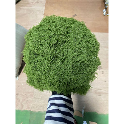 LUMUT ABADI ARTIFICIAL / MOSS DRIED / LUMUT AWETAN / DEKORASI MOSS / EKORASI LUMUT KERING / LUMUT BUATAN