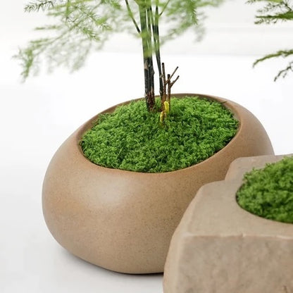 LUMUT ABADI ARTIFICIAL / MOSS DRIED / LUMUT AWETAN / DEKORASI MOSS / EKORASI LUMUT KERING / LUMUT BUATAN