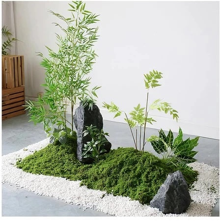 LUMUT ABADI ARTIFICIAL / MOSS DRIED / LUMUT AWETAN / DEKORASI MOSS / EKORASI LUMUT KERING / LUMUT BUATAN
