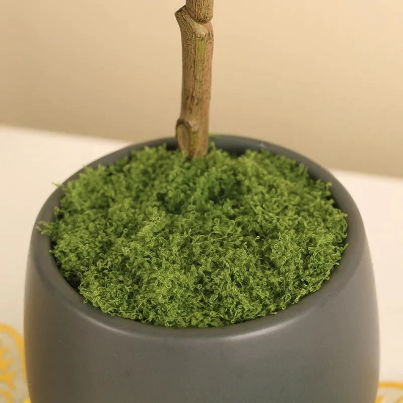 LUMUT ABADI ARTIFICIAL / MOSS DRIED / LUMUT AWETAN / DEKORASI MOSS / EKORASI LUMUT KERING / LUMUT BUATAN