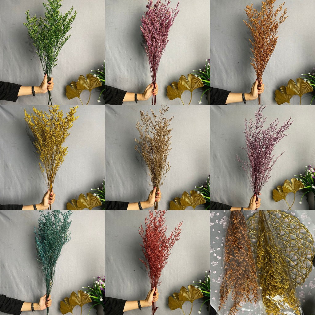 Caspea Flower Kering Import Natural Bunga Kering Lovergrass