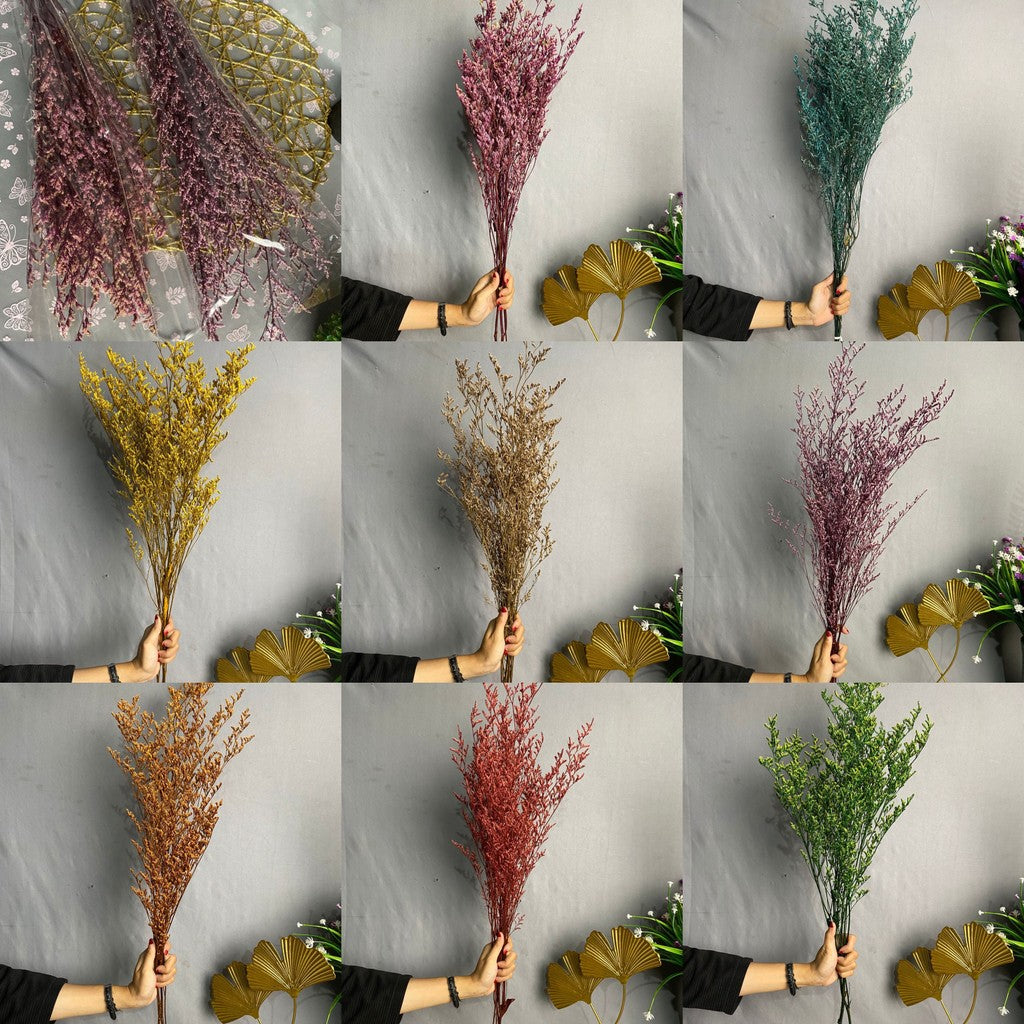 Caspea Flower Kering Import Natural Bunga Kering Lovergrass