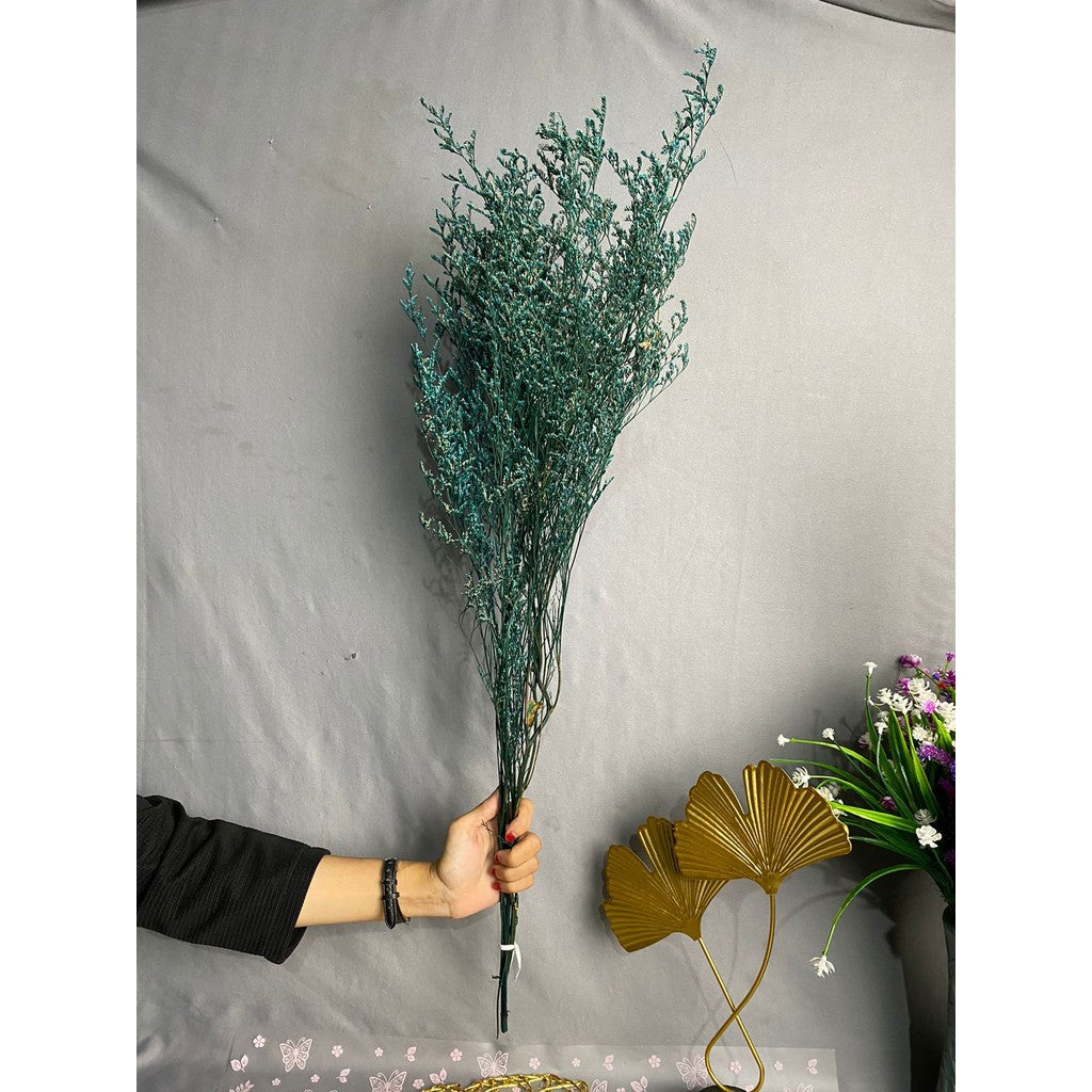 Caspea Flower Kering Import Natural Bunga Kering Lovergrass