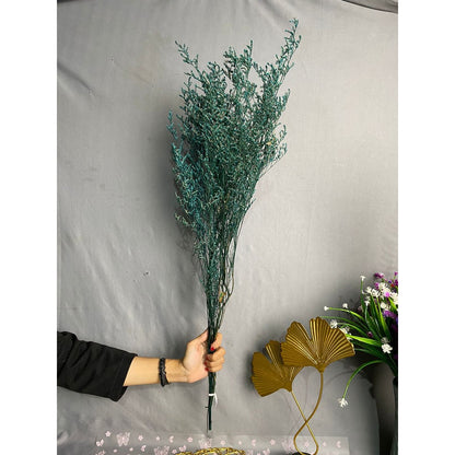 Caspea Flower Kering Import Natural Bunga Kering Lovergrass