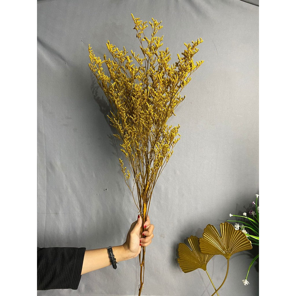 Caspea Flower Kering Import Natural Bunga Kering Lovergrass