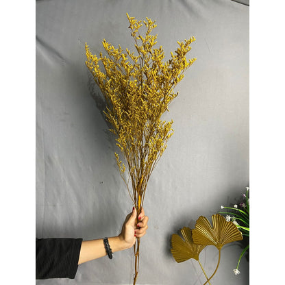Caspea Flower Kering Import Natural Bunga Kering Lovergrass