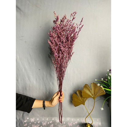 Caspea Flower Kering Import Natural Bunga Kering Lovergrass