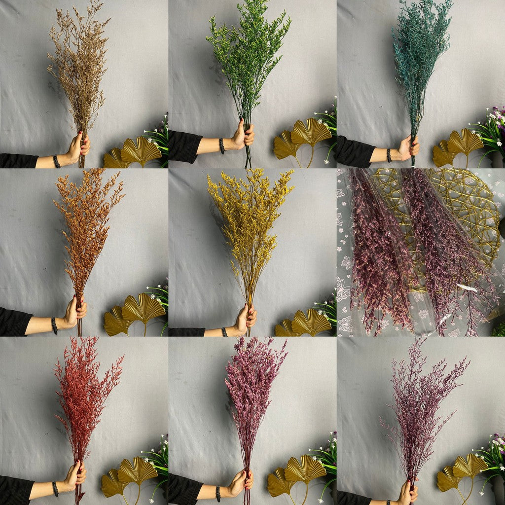 Caspea Flower Kering Import Natural Bunga Kering Lovergrass