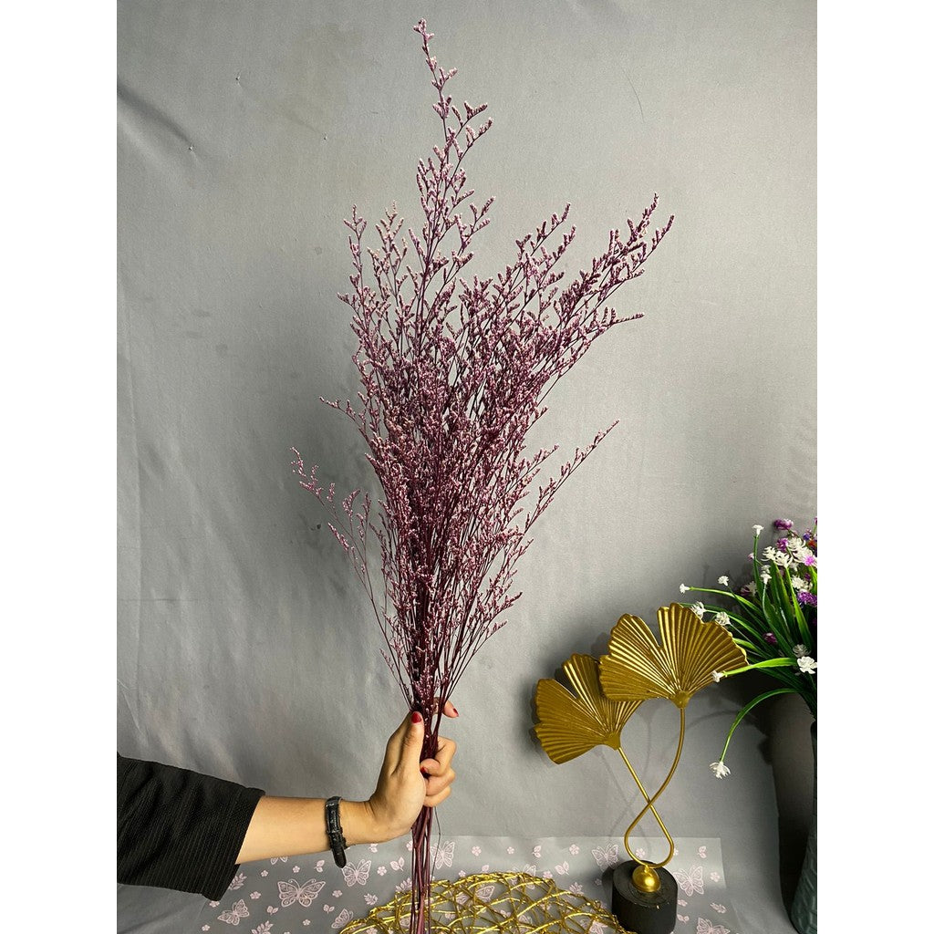Caspea Flower Kering Import Natural Bunga Kering Lovergrass