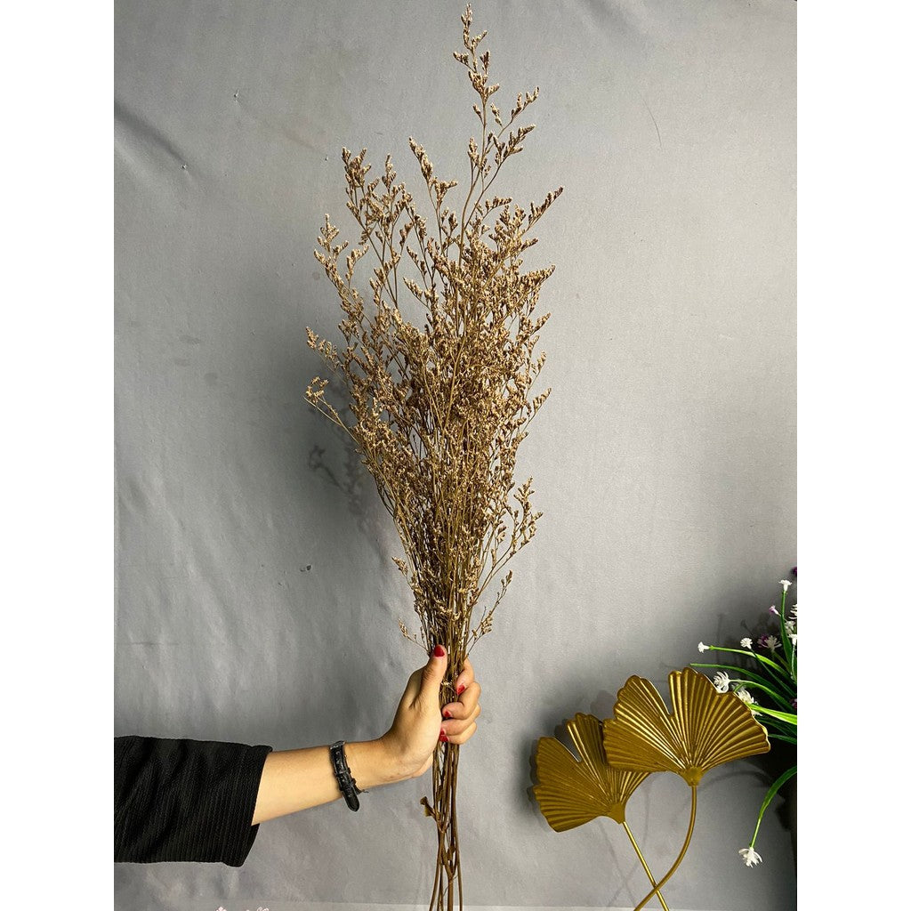 Caspea Flower Kering Import Natural Bunga Kering Lovergrass
