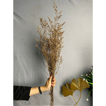 Caspea Flower Kering Import Natural Bunga Kering Lovergrass