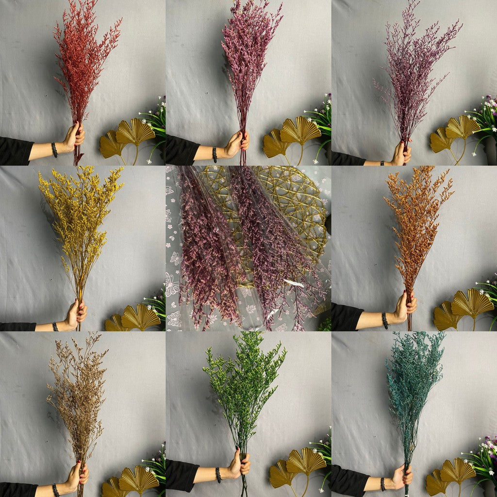 Caspea Flower Kering Import Natural Bunga Kering Lovergrass