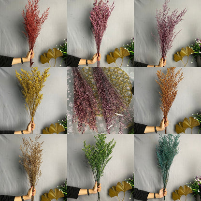 Caspea Flower Kering Import Natural Bunga Kering Lovergrass