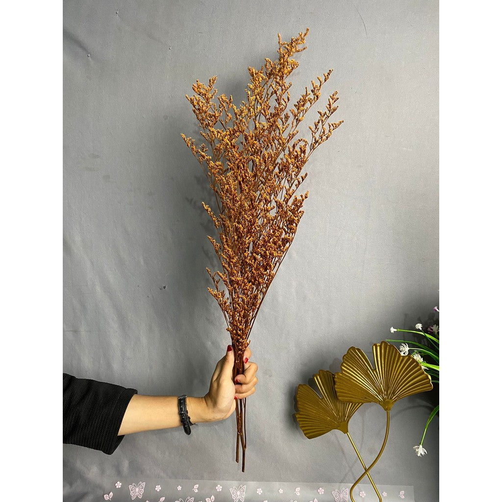 Caspea Flower Kering Import Natural Bunga Kering Lovergrass