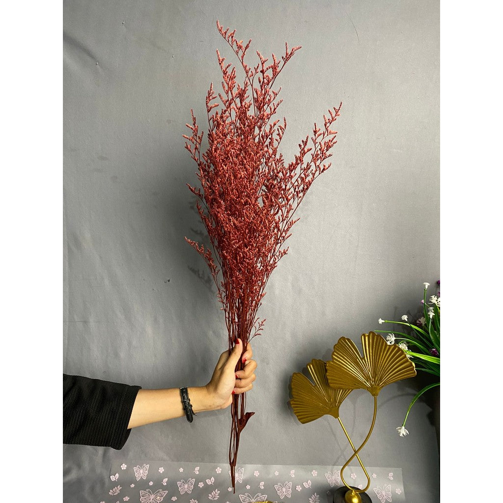 Caspea Flower Kering Import Natural Bunga Kering Lovergrass