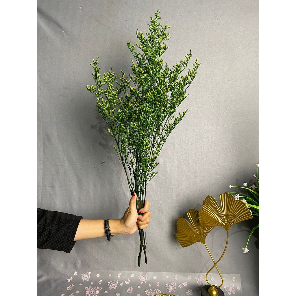 Caspea Flower Kering Import Natural Bunga Kering Lovergrass