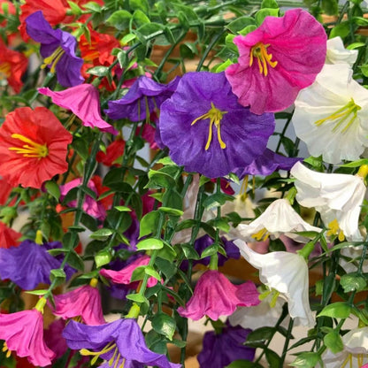 Bouquet bunga BKT 1024 MORNING GLORY VINE Bunga Gantung Juntai Artifisial Dekorasi Hiasan Seserahan Buket Palsu