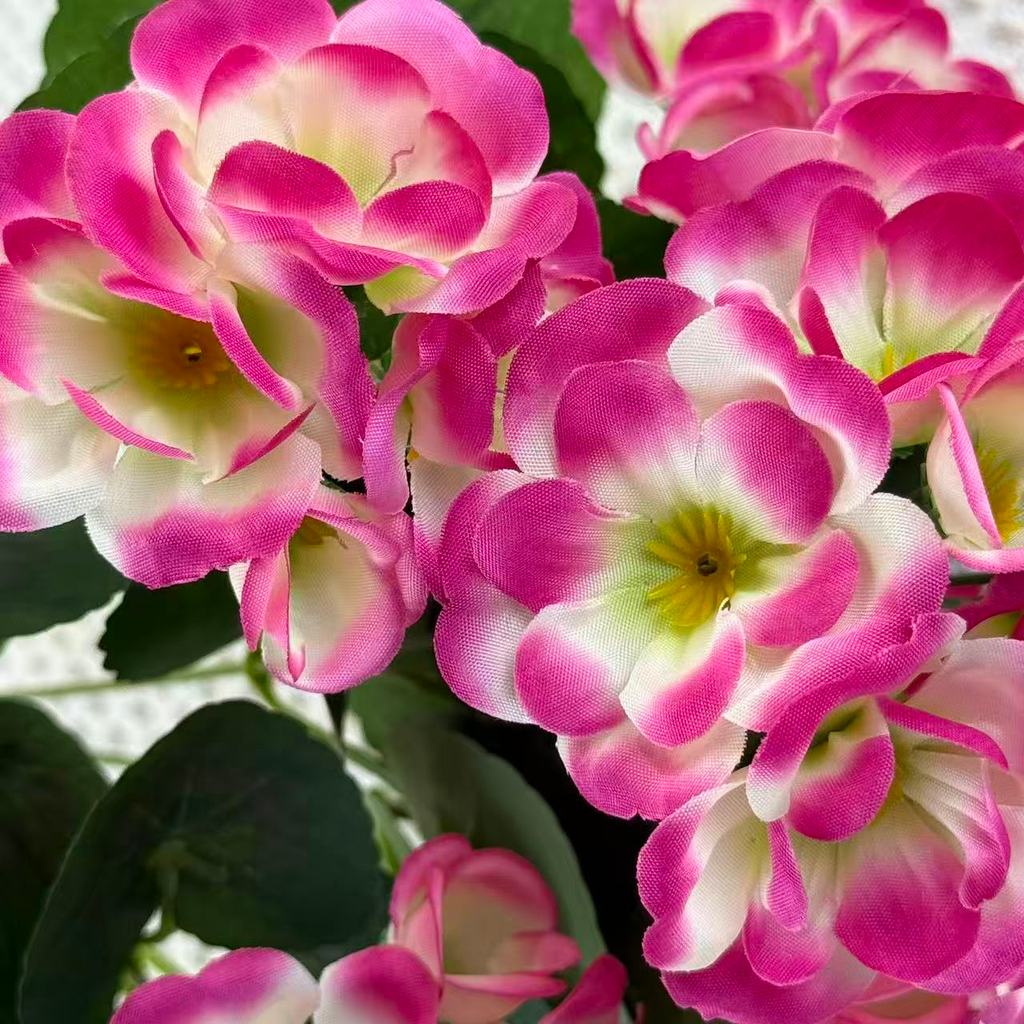 Bouquet bunga BKT 1037 BGN (x5) 5Cbg Bunga Begonia Artifisial Dekorasi Hiasan Seserahan Buket Palsu