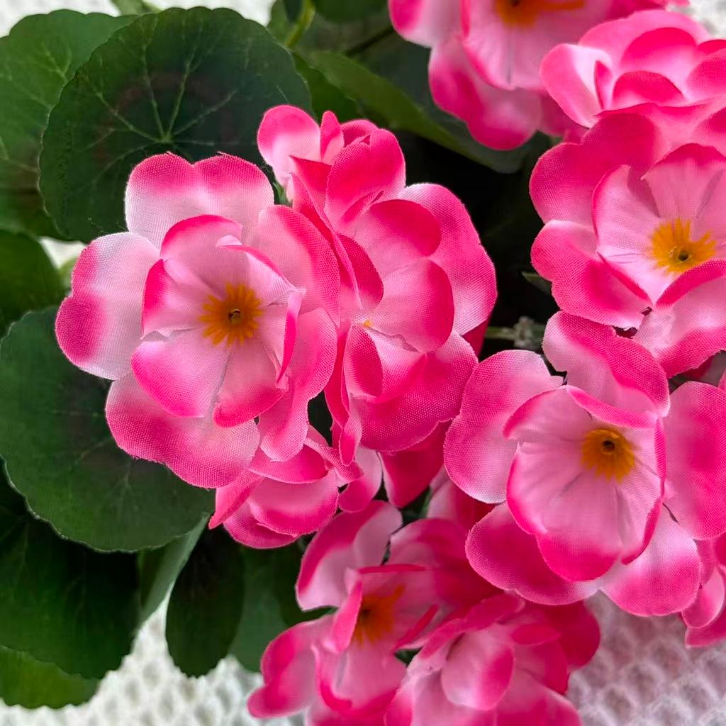 Bouquet bunga BKT 1037 BGN (x5) 5Cbg Bunga Begonia Artifisial Dekorasi Hiasan Seserahan Buket Palsu