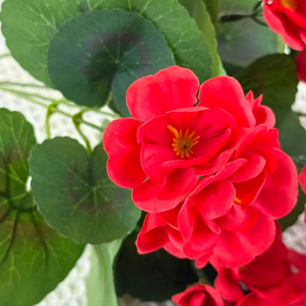 Bouquet bunga BKT 1037 BGN (x5) 5Cbg Bunga Begonia Artifisial Dekorasi Hiasan Seserahan Buket Palsu