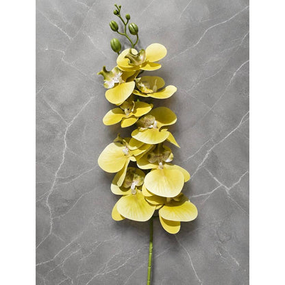3D NEW Orchid 105cm Bunga Anggrek  Latex Premium Tebal Orchid Flower Real Touch 9 Kuntum