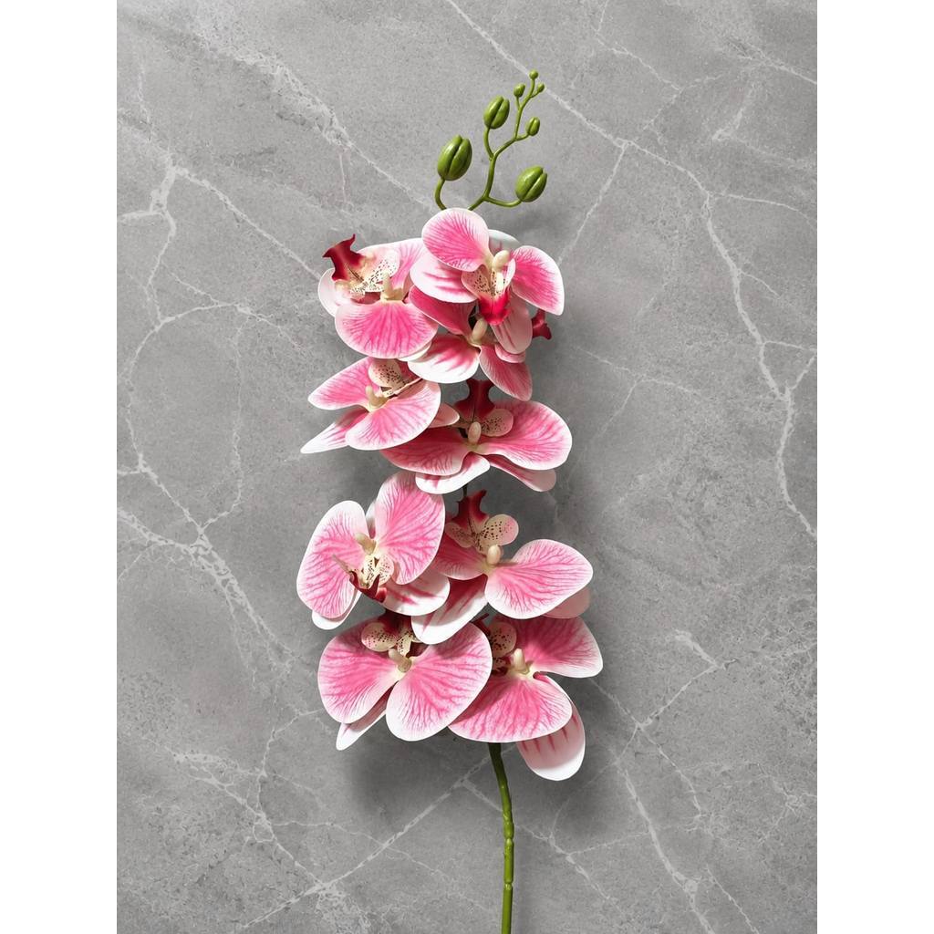 3D NEW Orchid 105cm Bunga Anggrek  Latex Premium Tebal Orchid Flower Real Touch 9 Kuntum