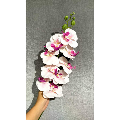 3D NEW Orchid 105cm Bunga Anggrek  Latex Premium Tebal Orchid Flower Real Touch 9 Kuntum