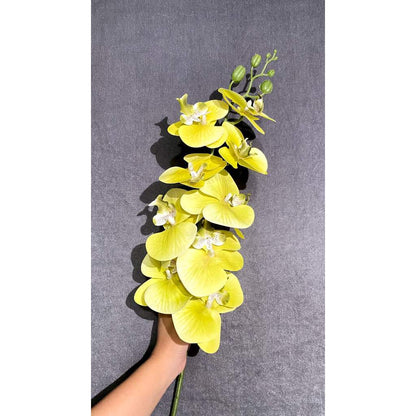 3D NEW Orchid 105cm Bunga Anggrek  Latex Premium Tebal Orchid Flower Real Touch 9 Kuntum